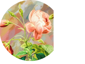 pintura decorativa