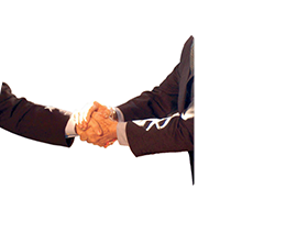 vendedor profesional